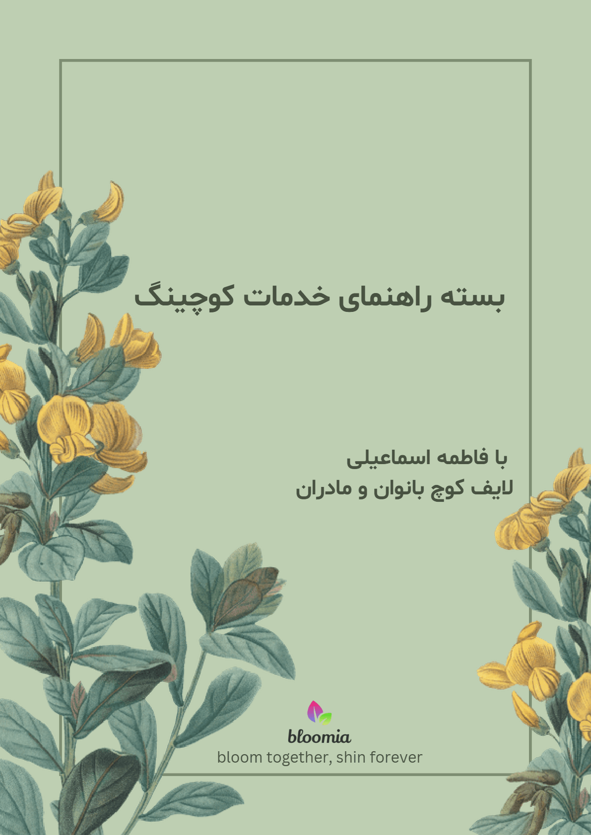 بسته راهنمای خدمات کوچینگ